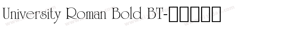 University Roman Bold BT字体转换